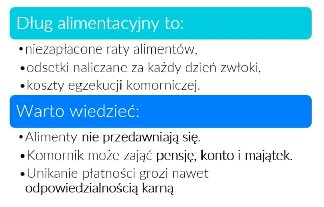 Jak sprawdzić zadłużenie alimentacyjne i uniknąć poważnych konsekwencji Jak sprawdzić zadłużenie alimentacyjne i uniknąć poważnych konsekwencji